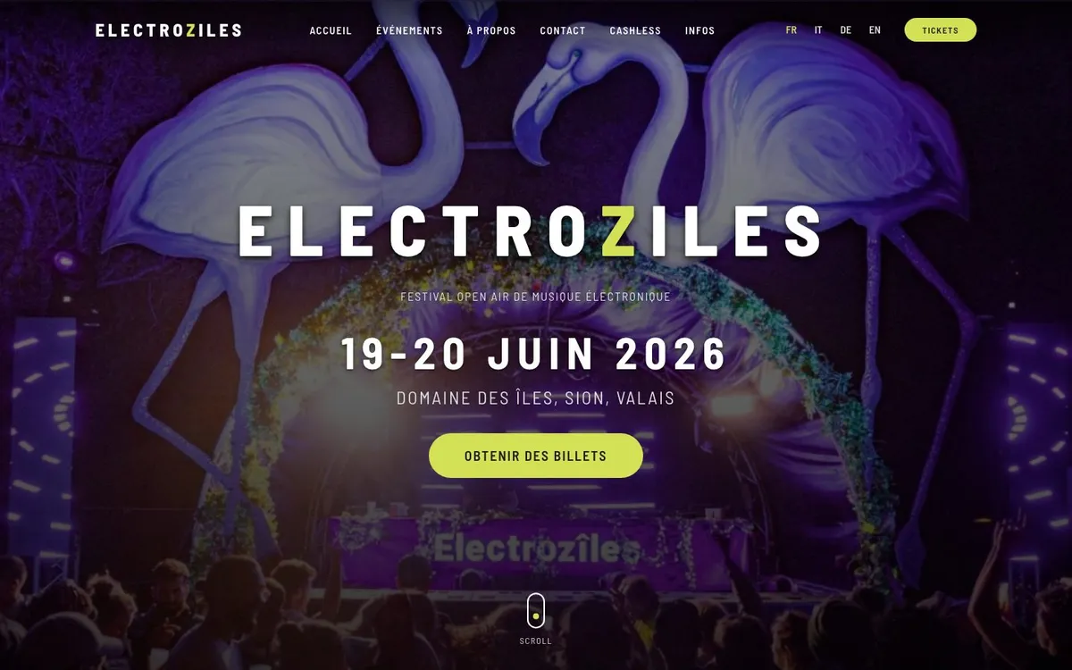 Page d’accueil du site Electroziles